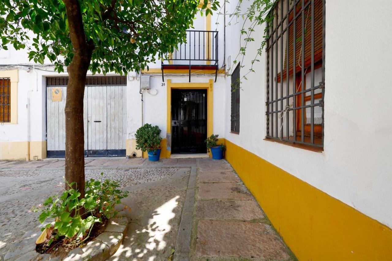 San Basilio, Parking Incluido Junto Al Casco Historico Διαμέρισμα Κόρδοβα Εξωτερικό φωτογραφία